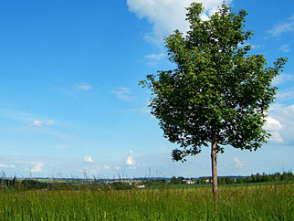 Natur - Freizeitaktivitäten Weserbergland