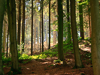 Naturpark Teutoburger Wald Eggegebirge