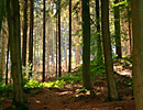 Naturpark Teutoburger Wald Eggegebirge