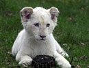 Safaripark Stukebrock